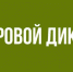 Брянцев приглашают принять участие в Цифровом диктанте - Сельцовский вестник 32