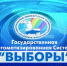 Выборы - Город Сельцо